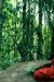 optim-4.___meditation-g6d04938bd_1920